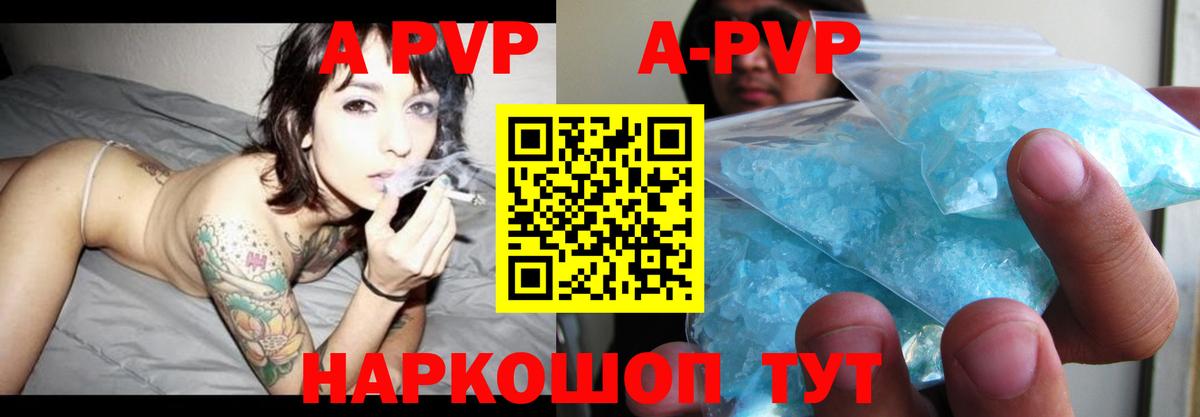 A PVP СК КРИС Можга