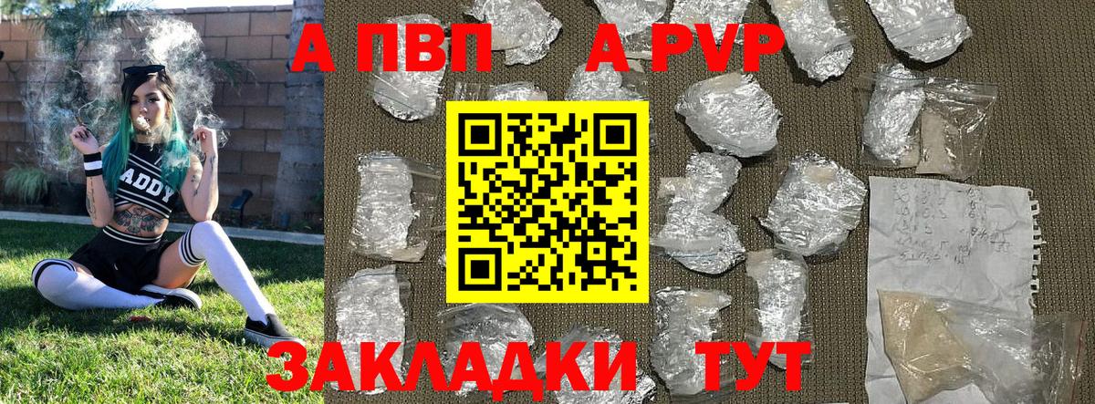 Альфа ПВП СК Можга