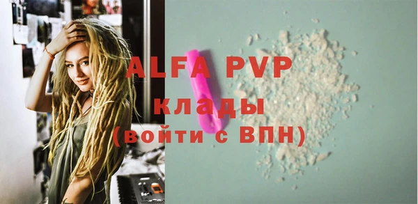 МДПВ Шали
