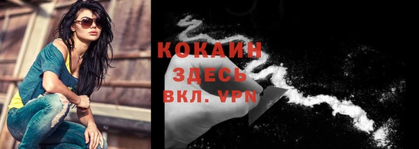 бошки Шарыпово