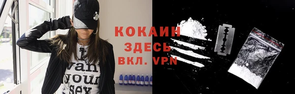 МДПВ Шали