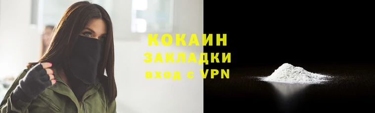 шишки Гусев