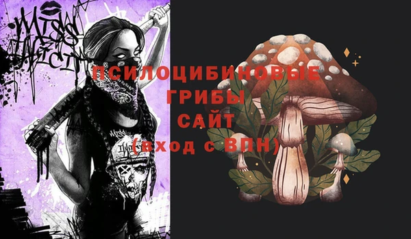 трава Шадринск