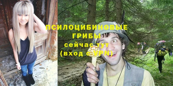 шишки Гусев