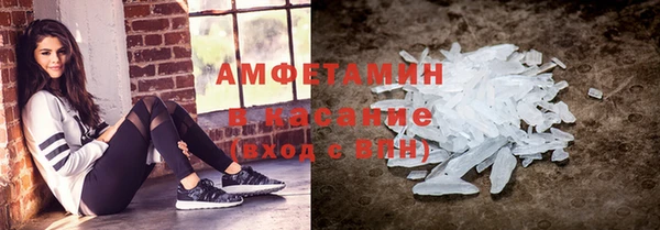 шишки Гусев