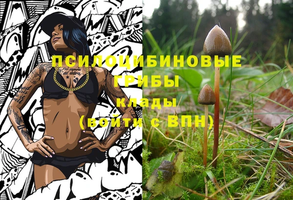 СК Гусиноозёрск