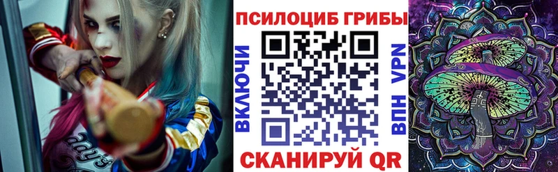 Псилоцибиновые грибы Psilocybe  дарнет шоп  Можга 