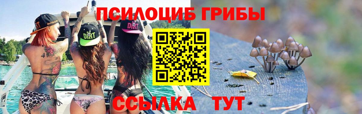 где найти наркотики  Псилоцибиновые грибы MAGIC MUSHROOMS  Можга  Вход с VPN  Галлюциногенные грибы мухоморы 
