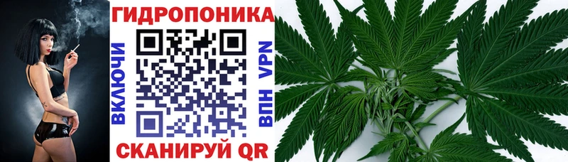 маркетплейс клад  Можга  Канабис THC 21% 