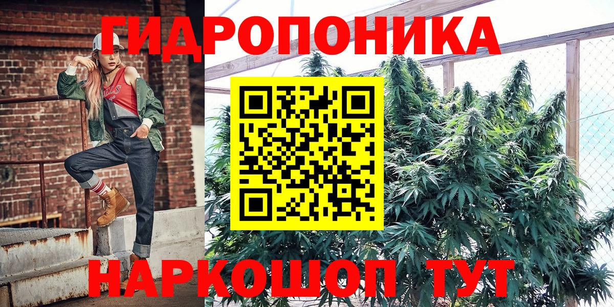 Бошки марихуана AK-47  Можга  Канабис OG Kush  Бошки Шишки White Widow 